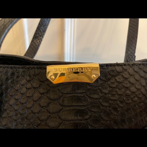 Limited Edition Burberry Python Tote - Picture 5 of 10